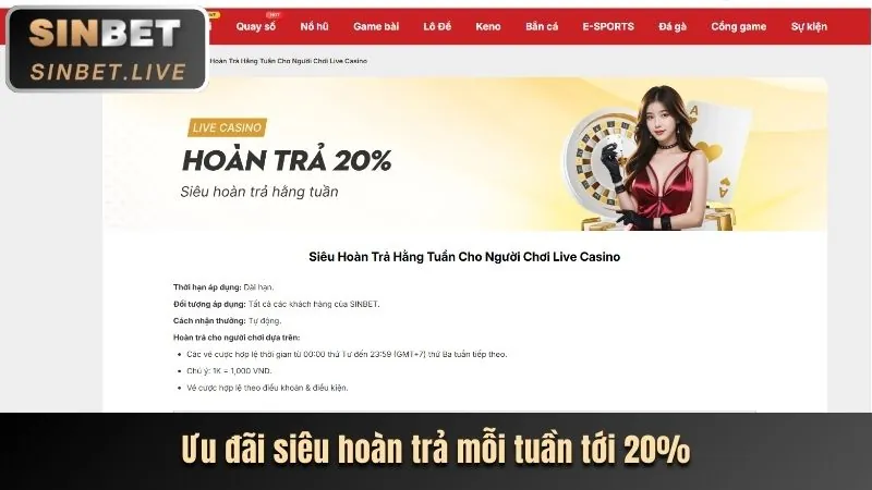 Giải thích điều kiện Zebet Bonus